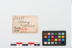 Etiketten zu Bronzegürtelhaken (NHMW-PRAE-024822)